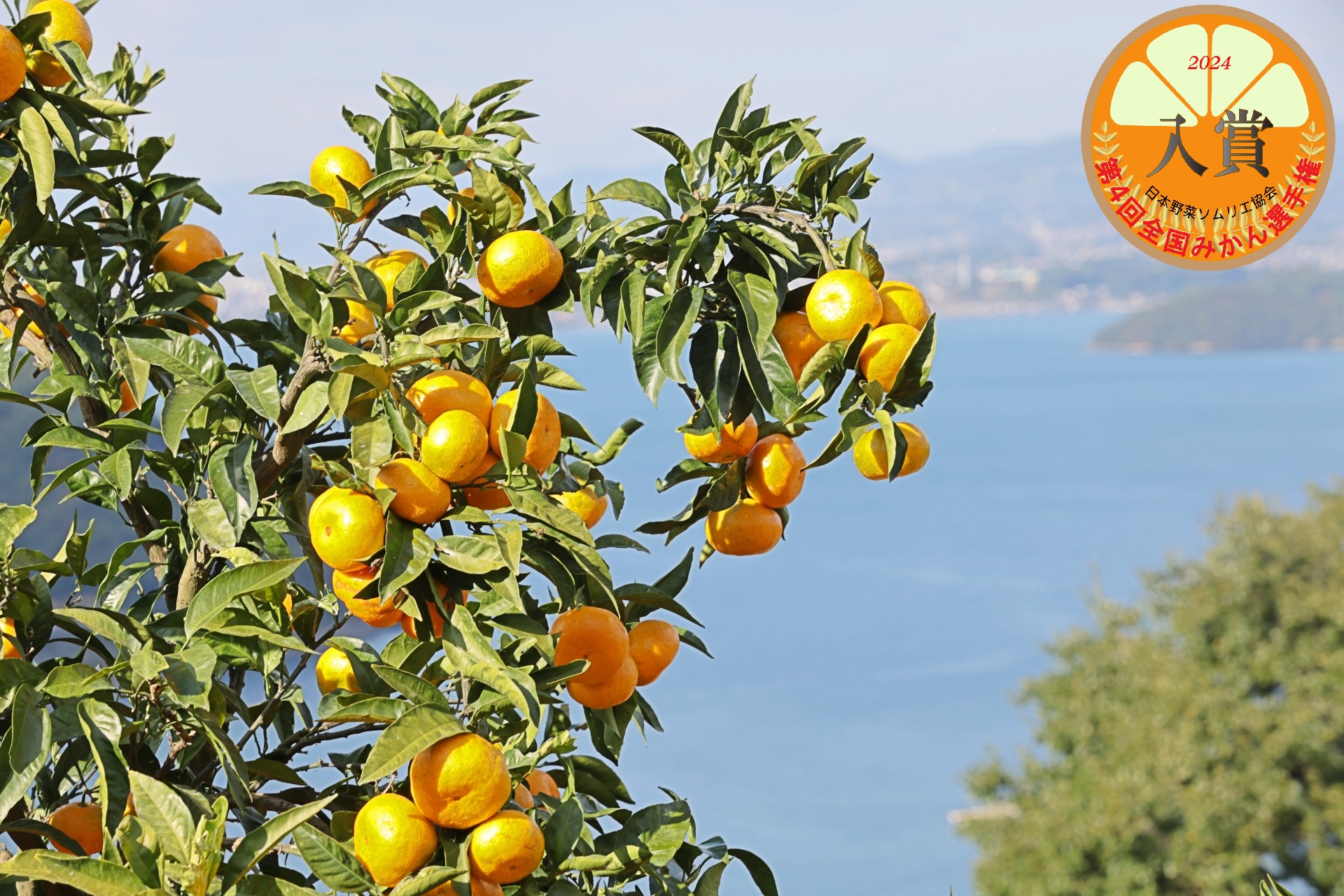 貴重品《田園月色硯》端硯梅花坑　古美術　文房具　手づくり彫刻　書道　書画道具　工藝品　置物　收藏品L9001113 デコトラ☆ステンレス☆ハシゴ